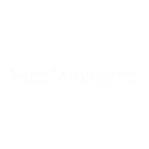 Public_Insights_Logo_Inverse_2024-removebg-preview